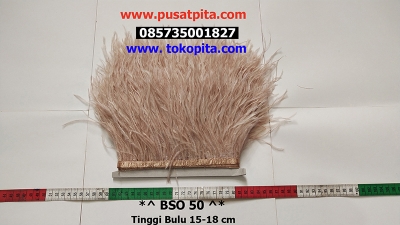 large2 BSO 50